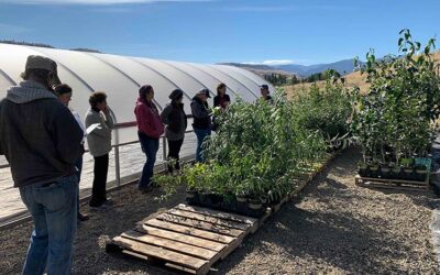 Native Plant Workshops Support Educators in Seeing Ways to Engage Students in Learning How They Can Restore Local Ecosystems