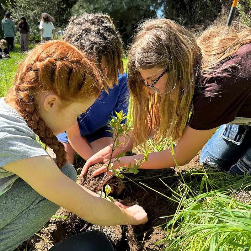 Student restoring native plants