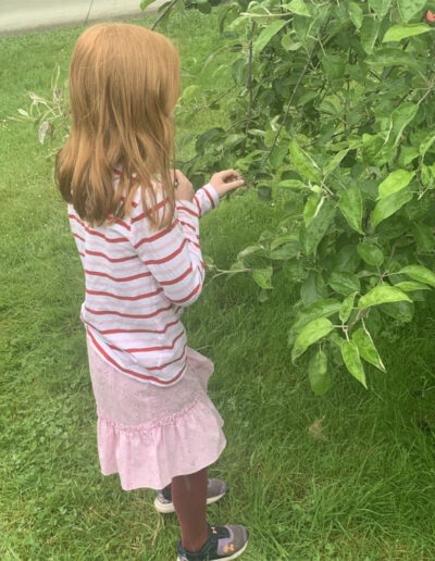 Student explores new growth on an apple tree